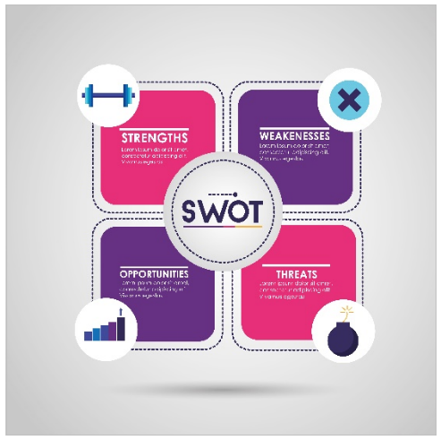 zeljka_swot_matrix.png